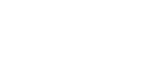 Logotipo oficial de Destino China en color blanco.